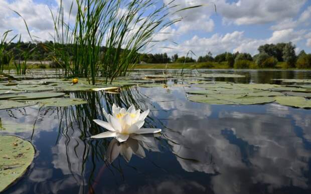 Красиві пейзажі