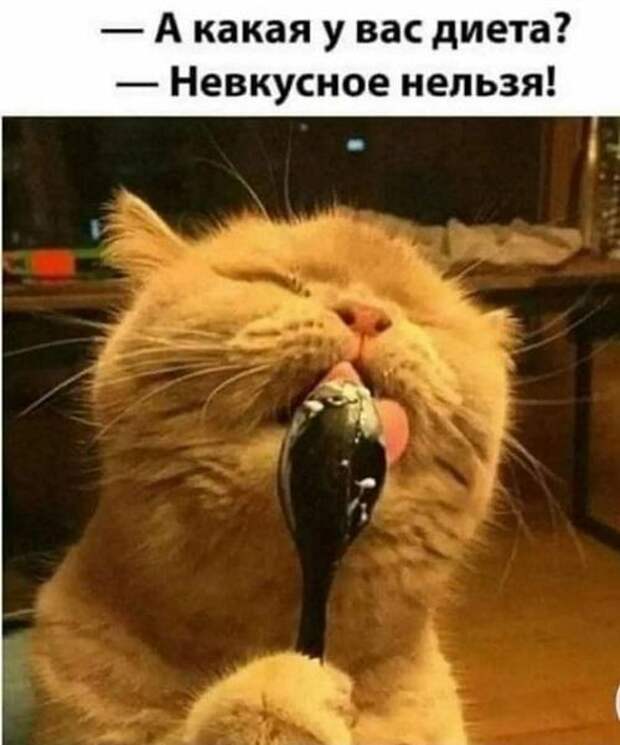 Клевые свежие картинки с надписями (четверг)