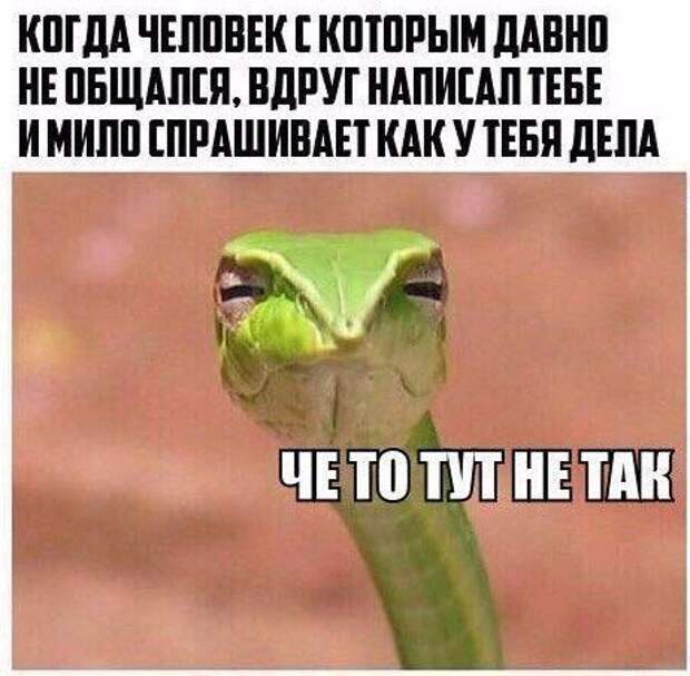 Новые прикольные фотомемы (28 шт)
