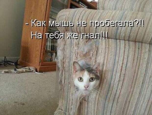 904185bed0804932c6af20b554e_prev