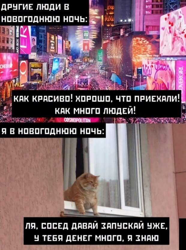 Смешные картинки 31 декабря 2020