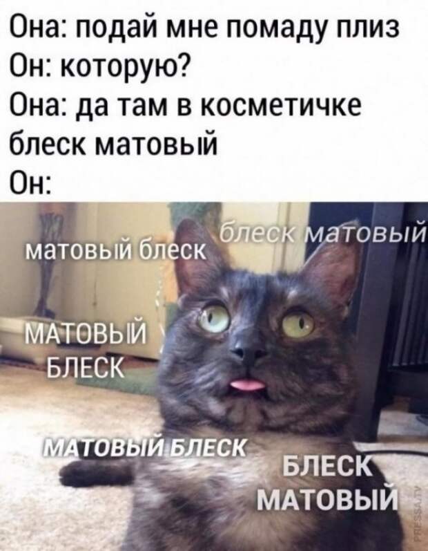 Картинки и мемы для настроения