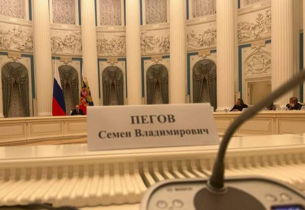 Иллюстрация – фото из Телеграм-канала Семёна Пегова