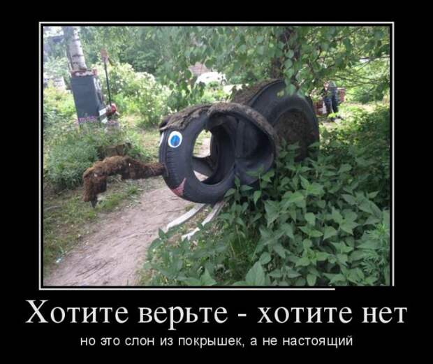 Демотиваторы (30 фото)