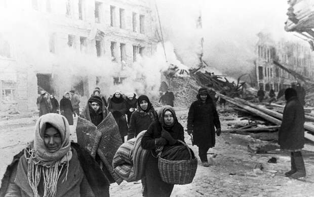 Как сибирские кошки спасли петербургский Эрмитаж