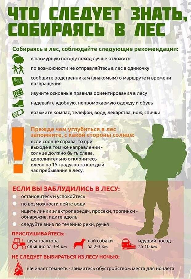 В Новоуральске нашли грибника, потерявшегося в лесу