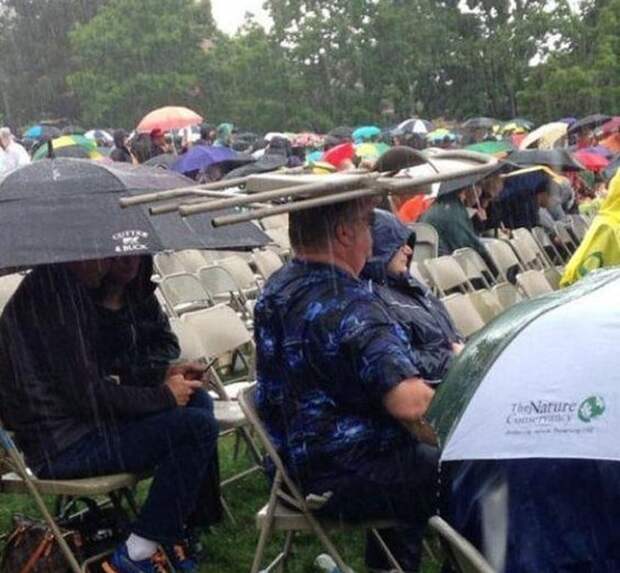 необычный зонт