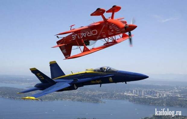 Приколы (55 фото)