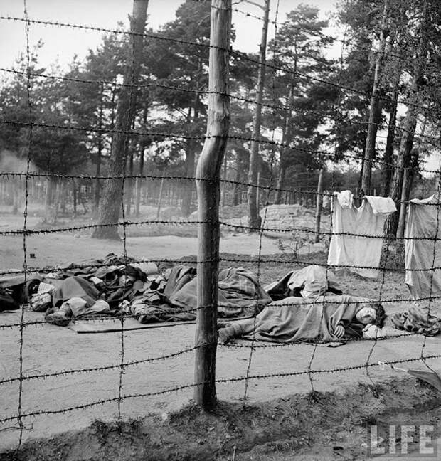 Мертвые и умирающие заключенные в только что освобожденном концлагере Берген-Бельзен.