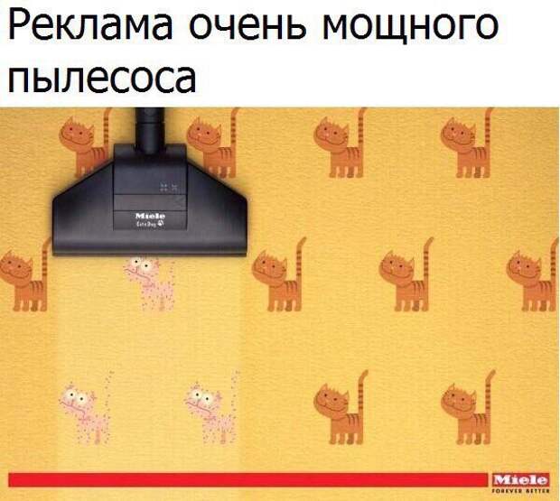 Забавные картинки с надписями для поднятия настроения (11 фото) Забавные картинки с надписями для поднятия настроения (11 фото)