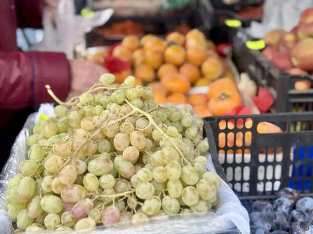 Фото: Мэрия Барнаула