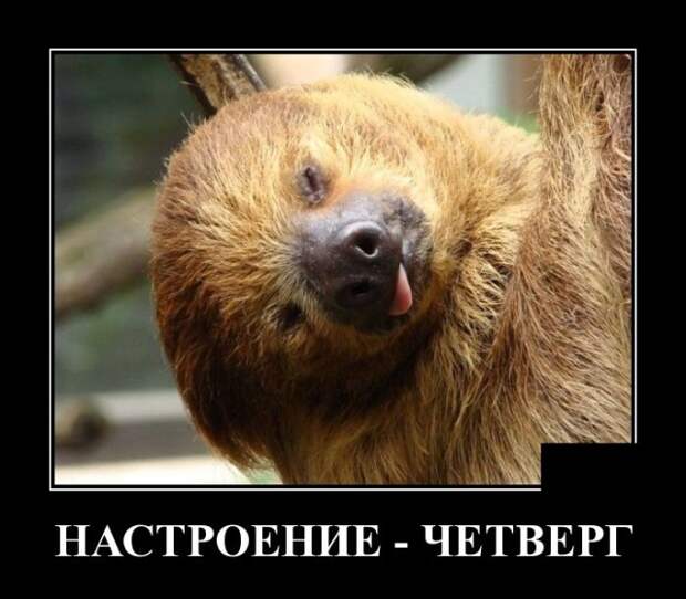 Демотиваторы (20 фото)