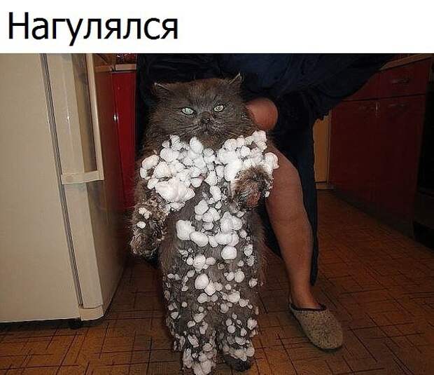 Картинки с надписями мем, прикол, юмор
