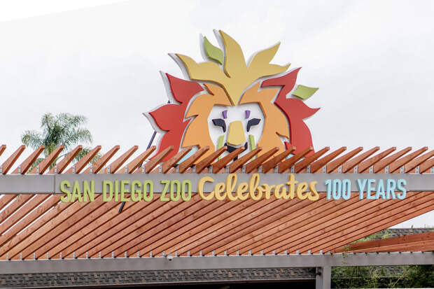 San Diego Zoo Spring 2016-23.jpg