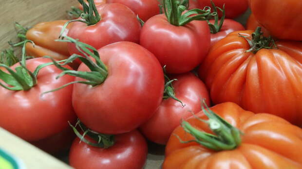 В России подорожали помидоры из-за конфликта в Иране