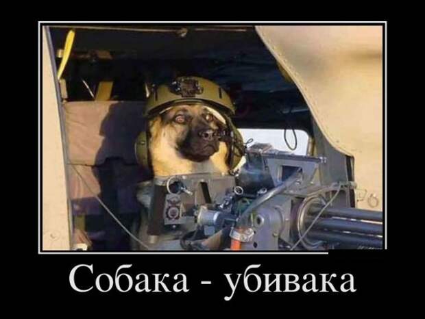 Демотиваторы (30 фото)