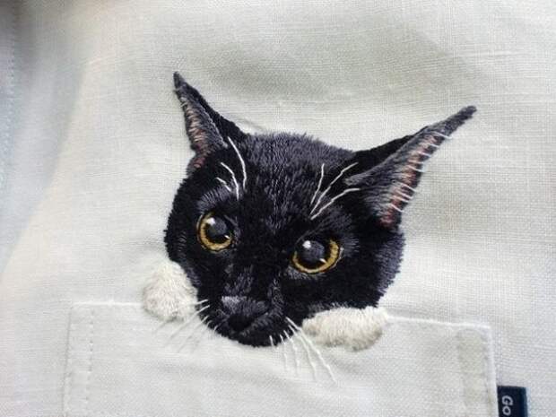 Карманные коты