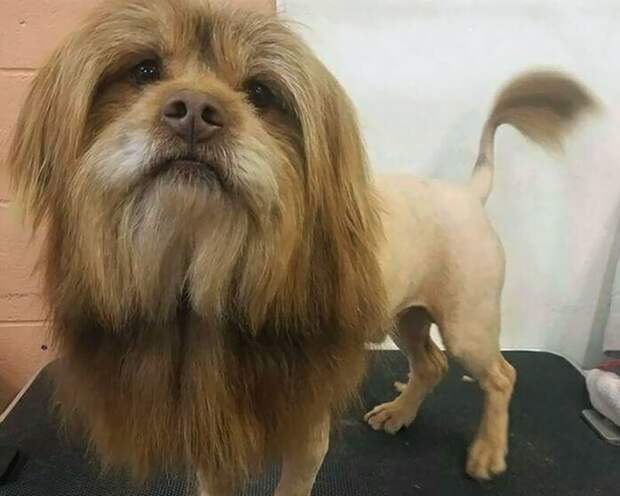 Люди, которые понимают всё слишком буквально