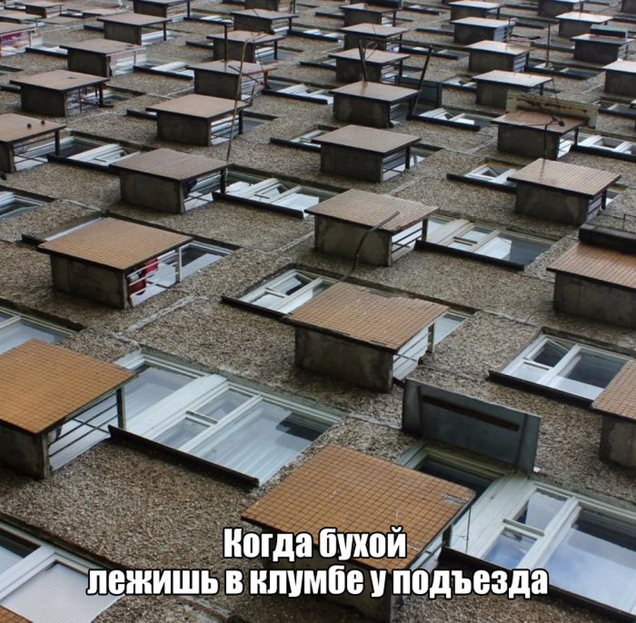 Подборка веселых фото из сетей