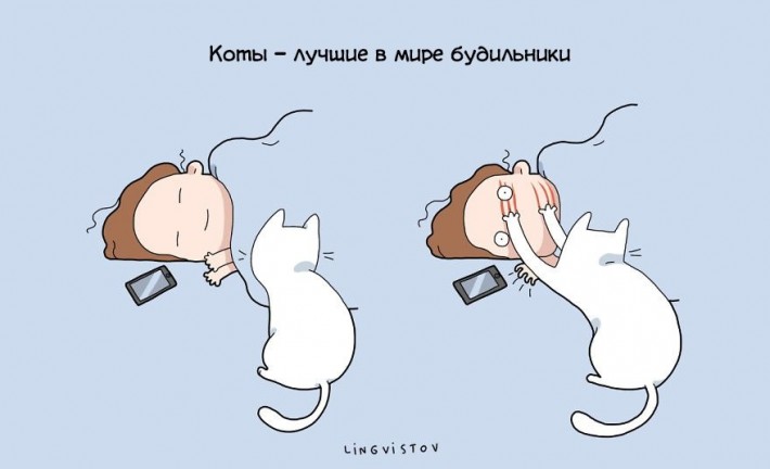 Преимущества жизни с котом