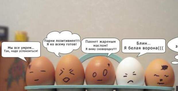 Картинки по запросу Как варить яйца
