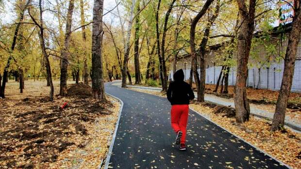 Более 200 миллионов рублей потратят в Барнауле на благоустройство