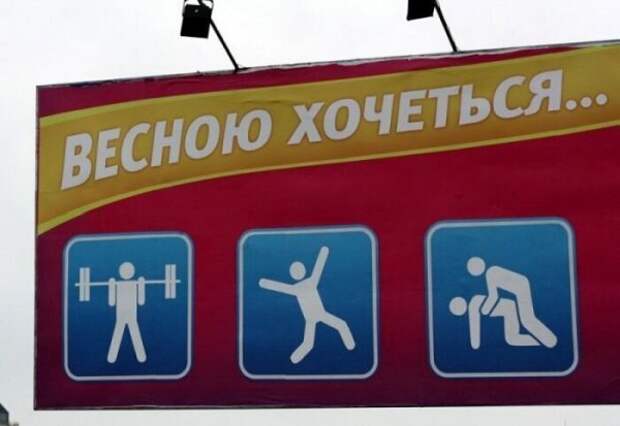 perly-kartinki-smeshnye-kartinki-fotoprikoly