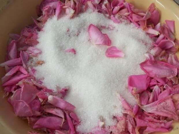 Варенье из лепестков роз. Пошаговый рецепт (3)