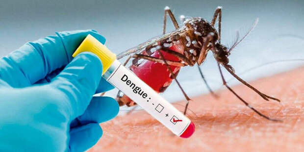 На Бали зафиксирован смертельный всплеск денге
