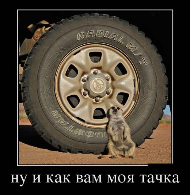 Демотиваторы (30 фото)