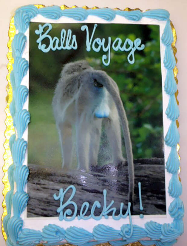 Our Employee Left Us To Take Care Of Monkeys In South Africa, This Was Her Farewell Cake
