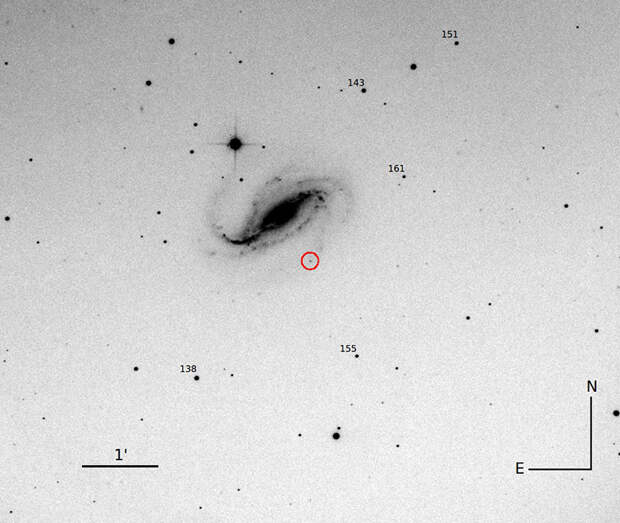 Астроном-любитель проверял новую камеру и случайно сфотографировал вспышку сверхновой