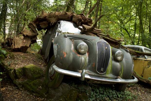 Гонщик собрал коллекцию автомобилей в немецком лесу кладбище автомобилей, коллекция, старые автомобили