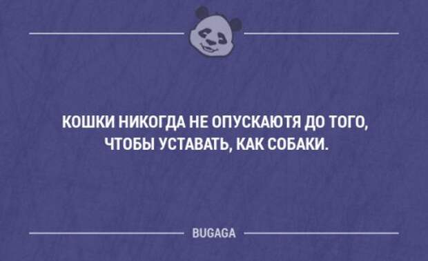 С кем шутки плохи с тем и остальное так себе картинка