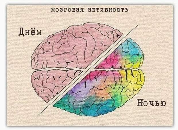 Прикольные картинки Прикольные картинки
