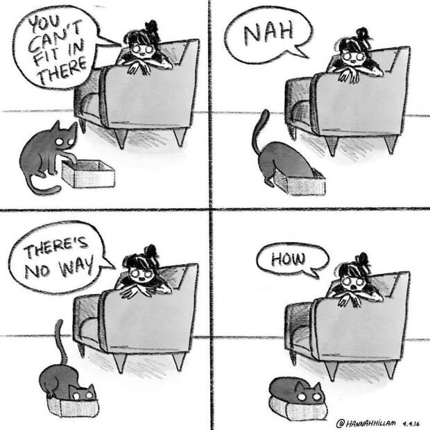 Modern-cat-lady-comics-hannah-hillam