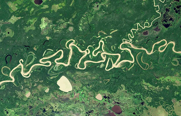 Вид на Амазонку Вид на Амазонку