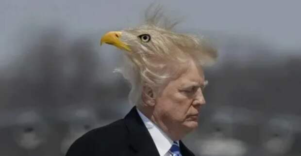 «Трамп на всех парах летит к политической катастрофе трампизма» – укро-политолог