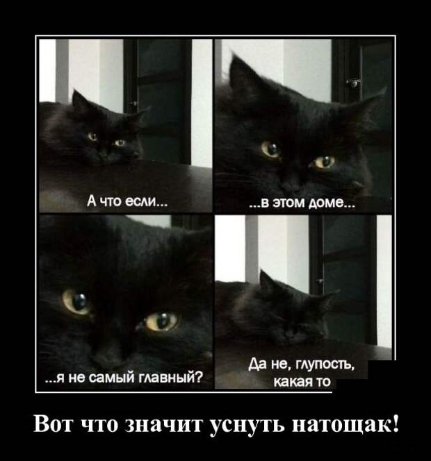 Демотиваторы (30 фото)