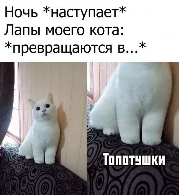 1592603837_lol-3.jpg
