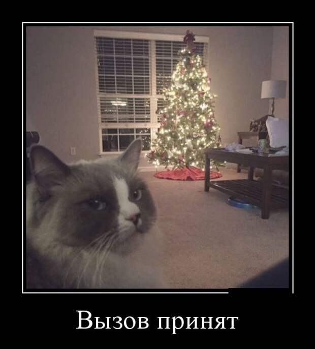 1482256351_17