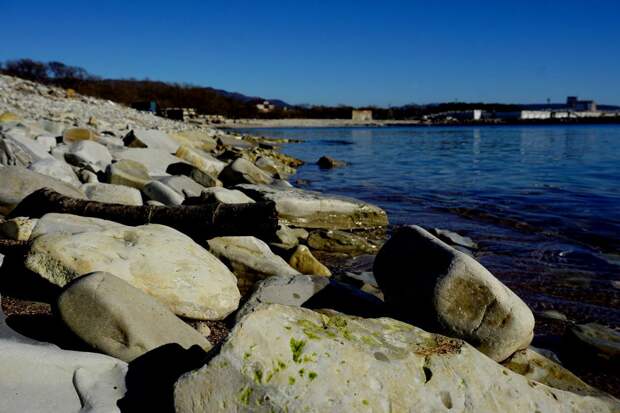 Сколько стоит авиабилет из Москвы в Геленджик