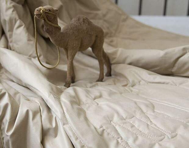 Как стирать одеяло из верблюжьей шерсти