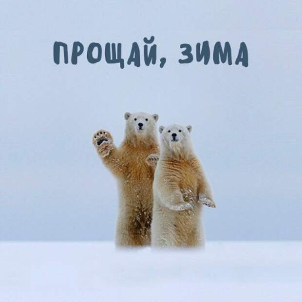 Веселые картинки с надписями для настроения (10 фото) Веселые картинки с надписями для настроения (10 фото)