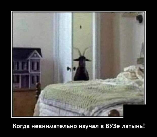 Демотиватор про латынь