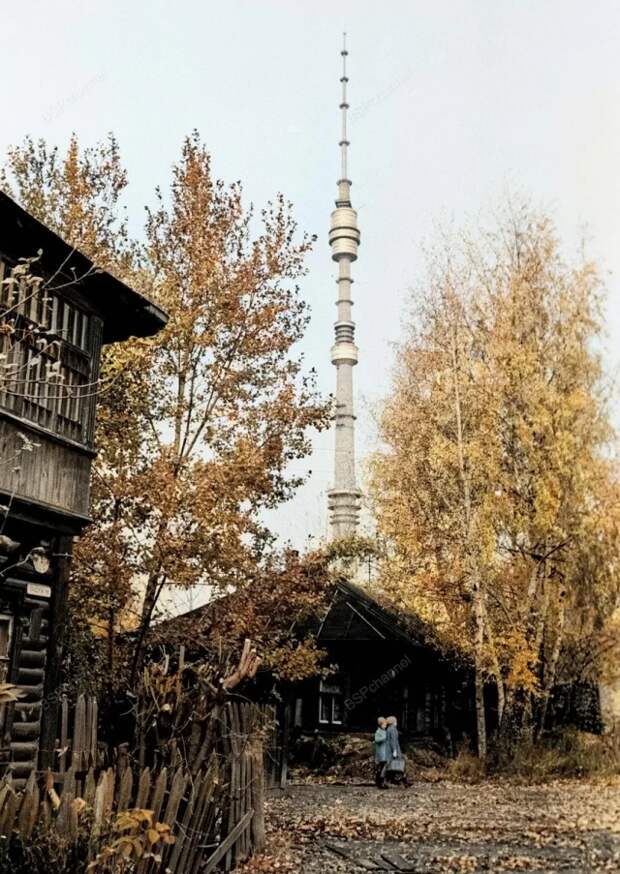 Останкино. Прудовой проезд, 5. Москва, 1978 год.