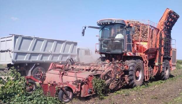 В Гиагинском районе на треть увеличат посевы сахарной свеклы