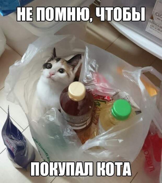 Новые прикольные фотомемы (30 шт)