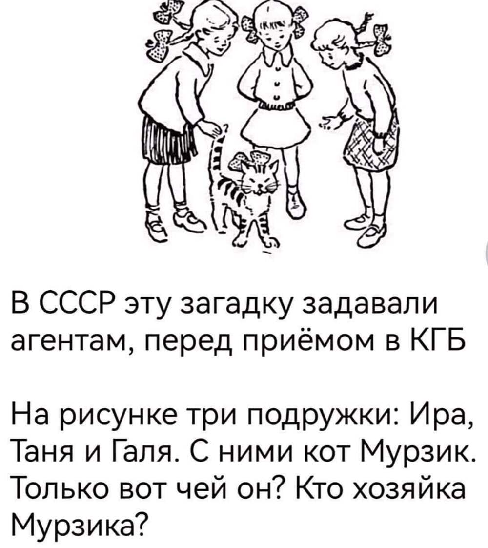 Загадка 3 девочки и кот КГБ