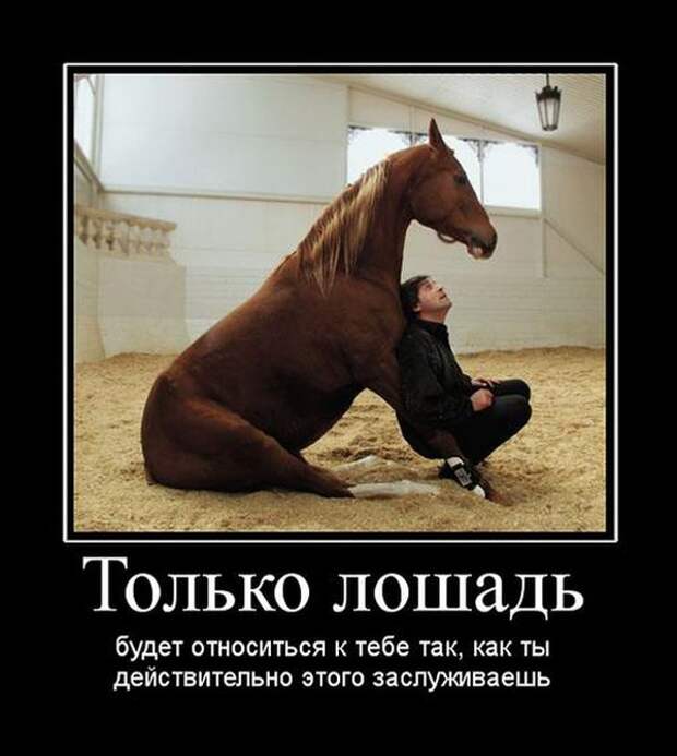 Демотиваторы (30 фото)